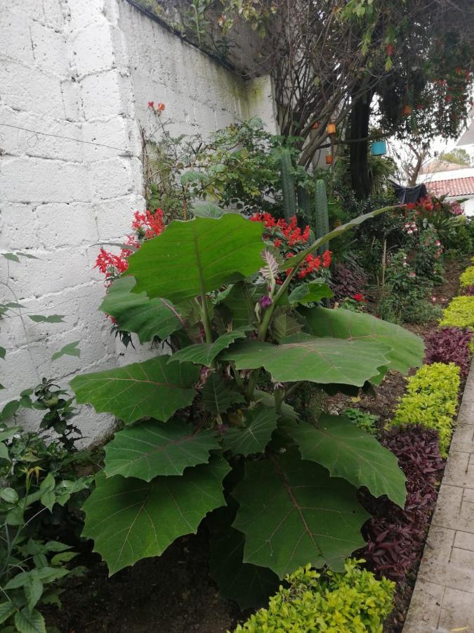 Bed and Breakfast Casatodosantos Cuenca Exterior foto