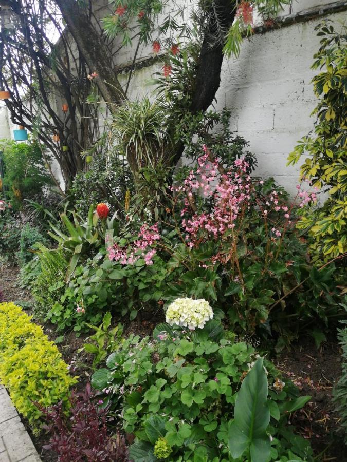 Bed and Breakfast Casatodosantos Cuenca Exterior foto